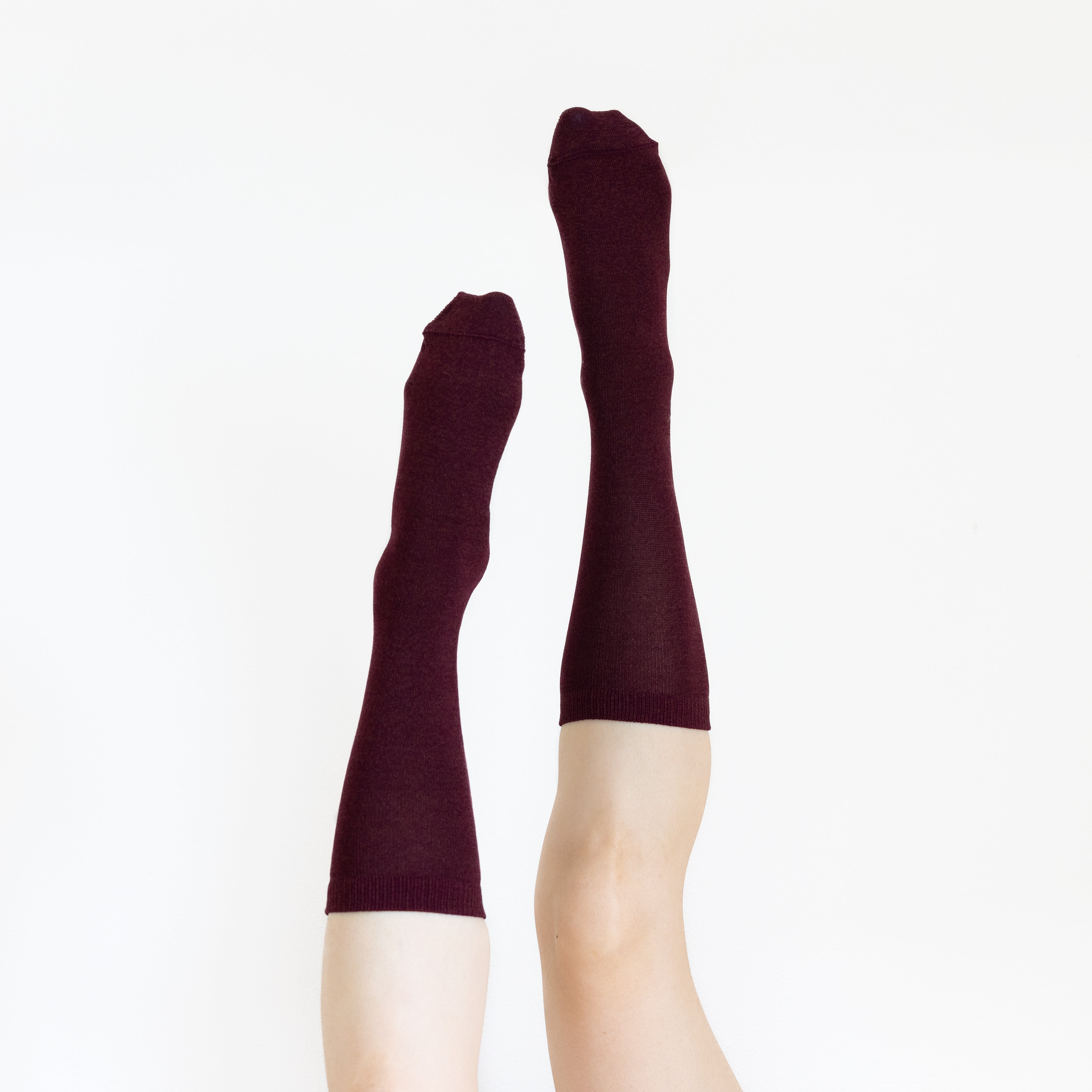 あらきページ LIVE ARK HELIX 2025 ライブトリセツ公開 | あらき FC