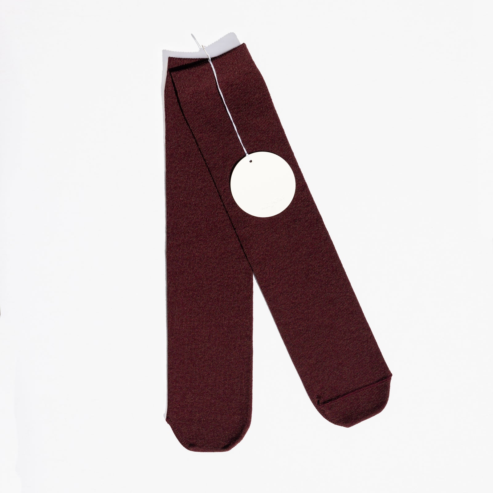 あらきページ LIVE ARK HELIX 2025 ライブトリセツ公開 | あらき FC